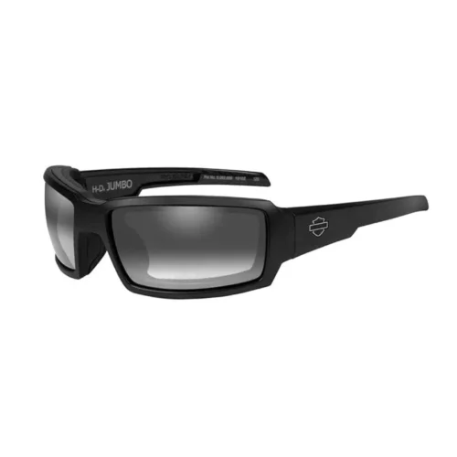 HARLEY-DAVIDSON - BALLISTIC Light Adjusting Sunglasses,  HDJUM05