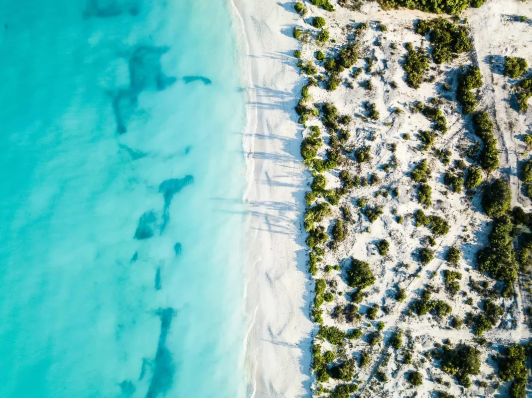 Experiential Cruises 29 romello williams ftxPl9sAk0 unsplash 11zon 11zon 11zon